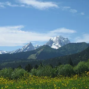 Bognerlehen Bauernhof